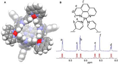 Nanoparticles of Metal-Organic Cages Overcoming Drug Resistance in Ovarian Cancer